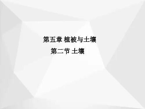 高中地理人教版(2019)必修第一册课件：第五章 植被与土壤 第二节 土壤