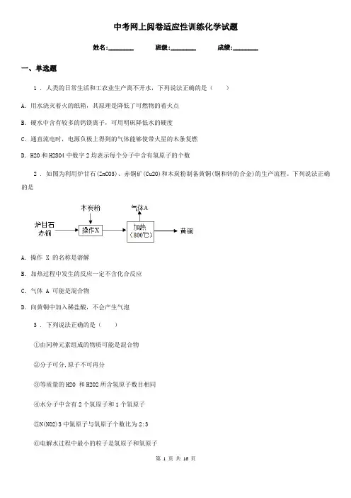 中考网上阅卷适应性训练化学试题