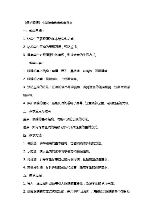 《保护眼睛》小学健康教育教案范文