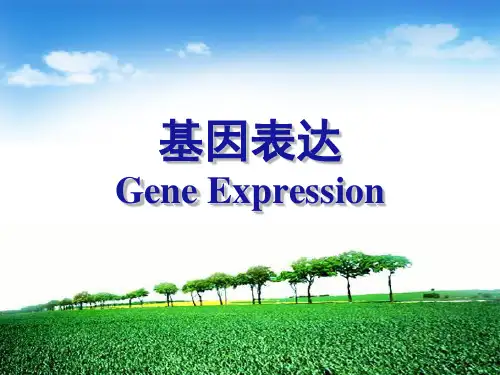 生物化学与分子生物学课件：五年制 转录 翻译(第八版)