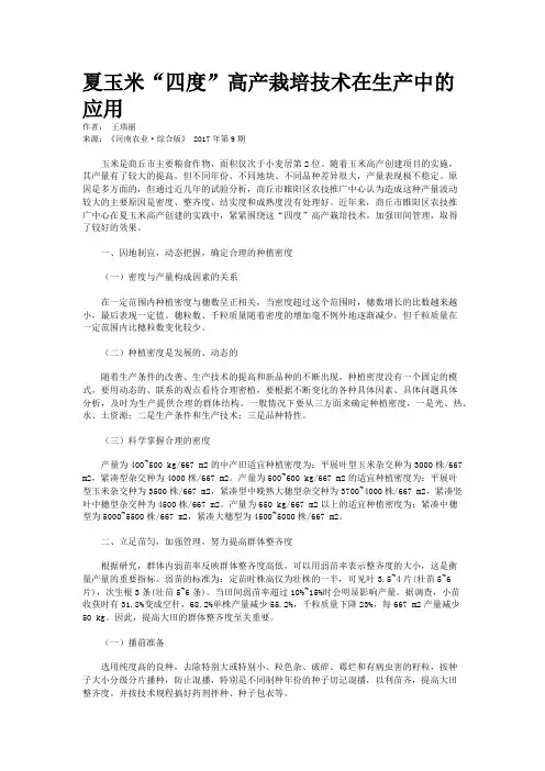 夏玉米“四度”高产栽培技术在生产中的应用