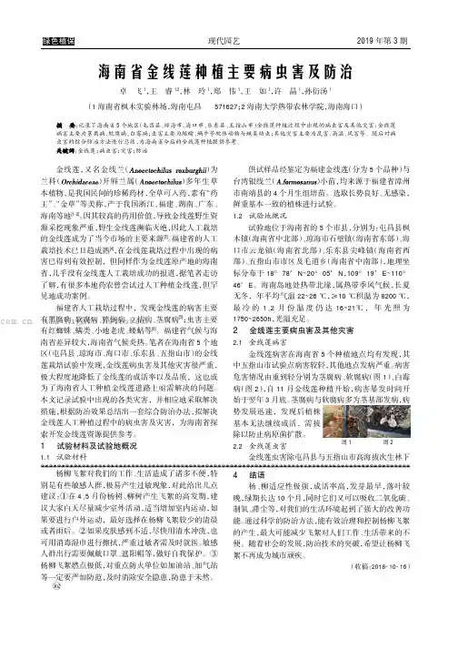 海南省金线莲种植主要病虫害及防治