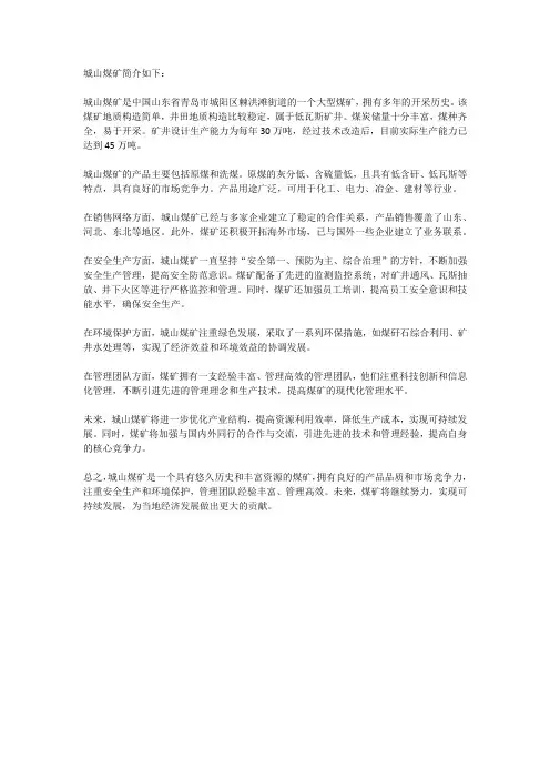 城山煤矿简介