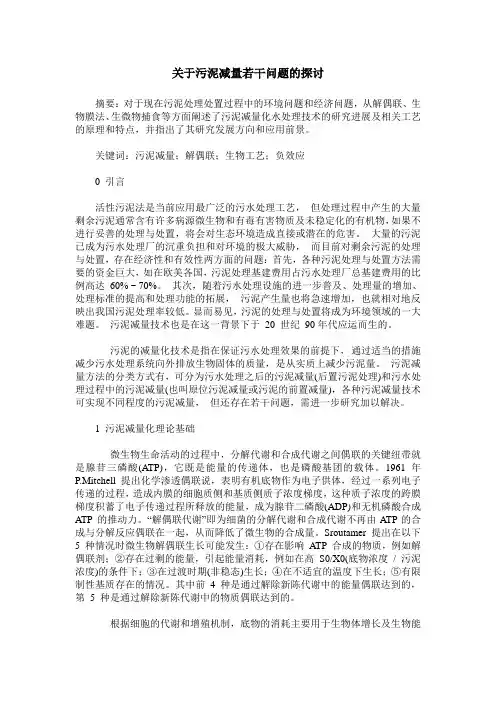 关于污泥减量若干问题的探讨