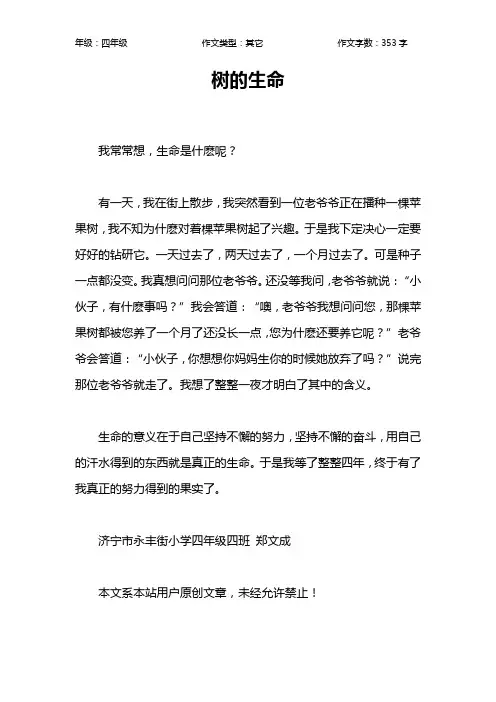 树的生命作文【小学四年级400字】
