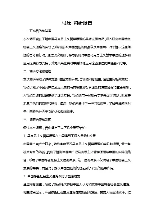 马原 调研报告