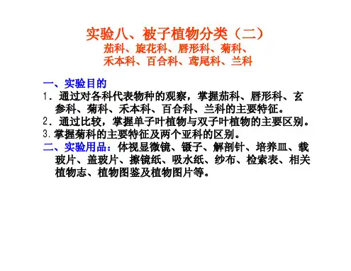 实验八  被子植物分类(二)