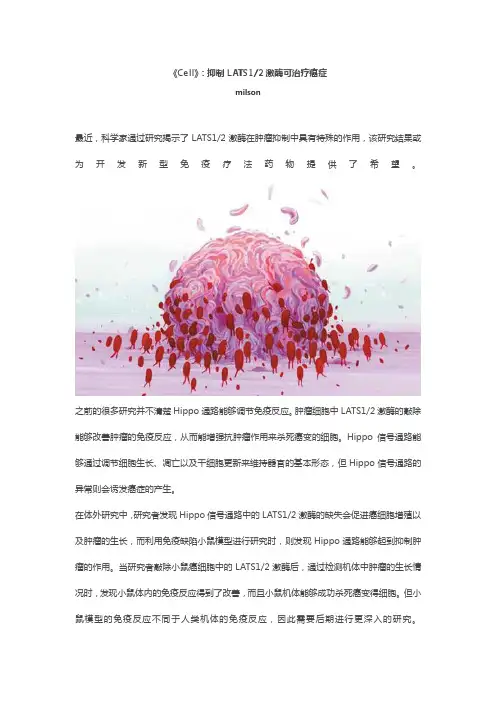 Cell-抑制LATS12激酶可治疗癌症