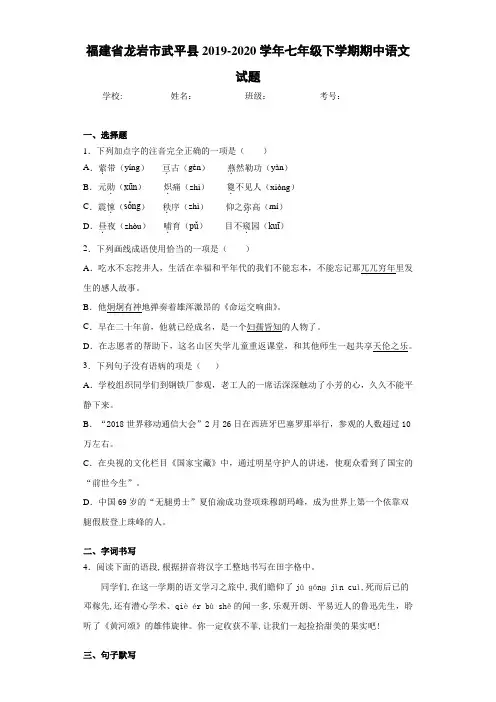 福建省龙岩市武平县2019~2020学年七年级下学期期中语文试题(含答案解析)
