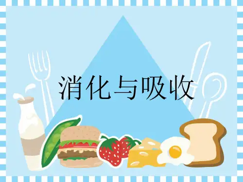 六年级下册科学课件-2.5 消化与吸收｜冀教版 (共13张PPT)