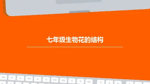 七年级生物花的结构