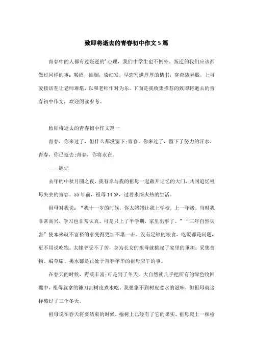 致即将逝去的青春初中作文5篇