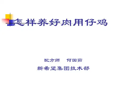 怎样养好肉用仔鸡