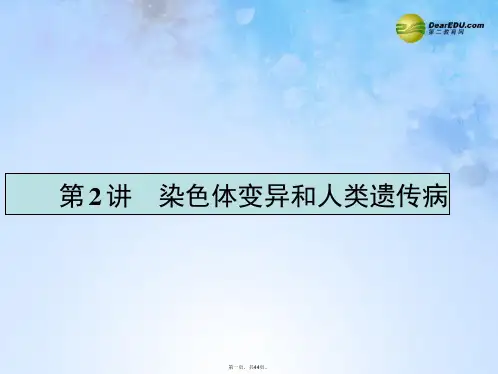 高考生物一轮复习 3.2 染色体变异和人类遗传病课件 新人教版必修2