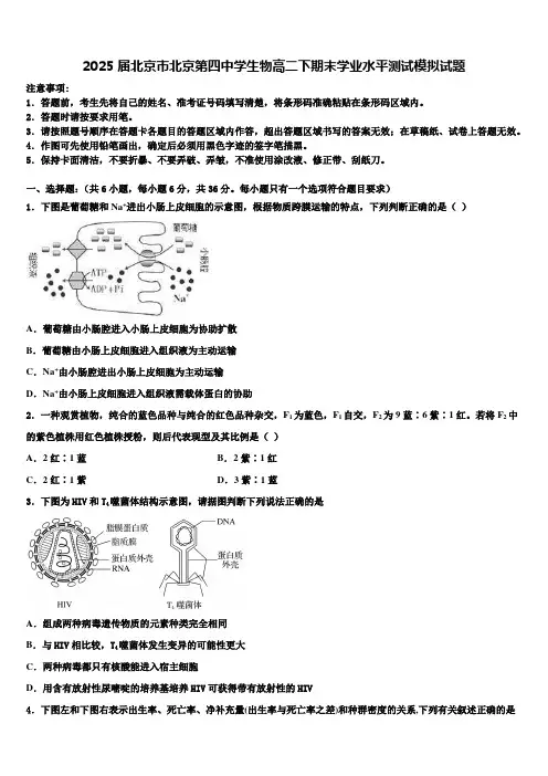 2025届北京市北京第四中学生物高二下期末学业水平测试模拟试题含解析