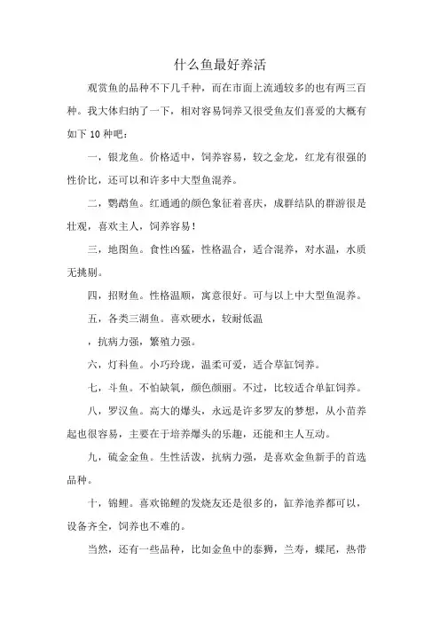 什么鱼最好养活