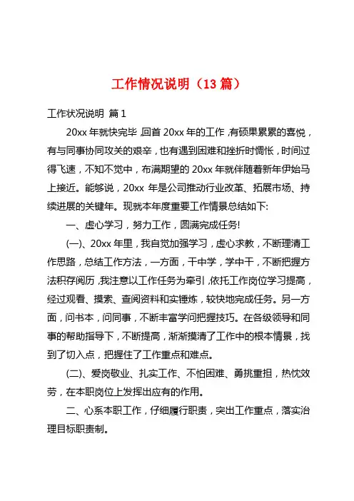工作情况说明(13篇)