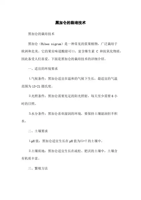 黑加仑的栽培技术