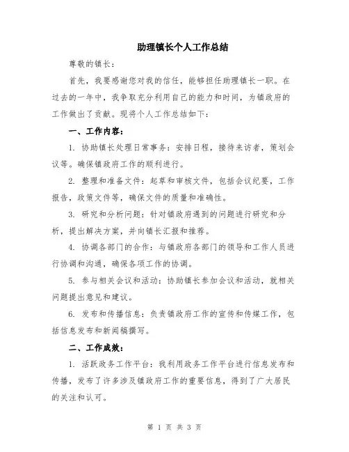 助理镇长个人工作总结