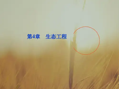 最新-江苏专用2018高考生物总复习 第4章生态工程课件 选修3 精品 