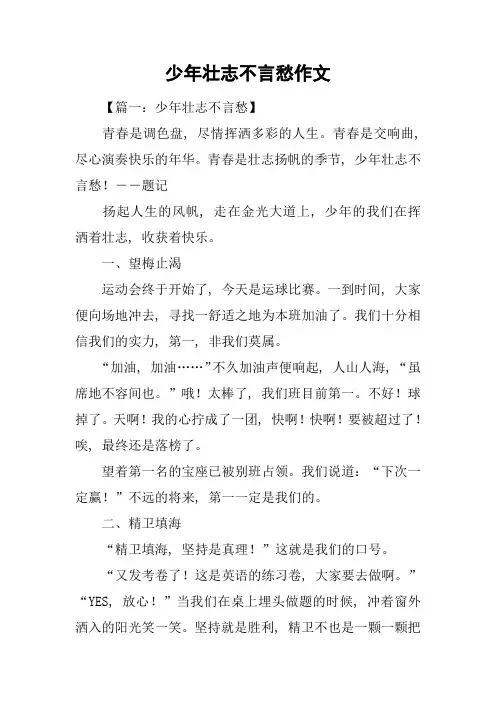 少年壮志不言愁作文