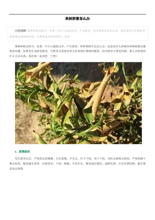 果树肥害怎么办