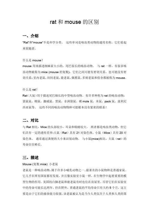 rat和mouse的区别