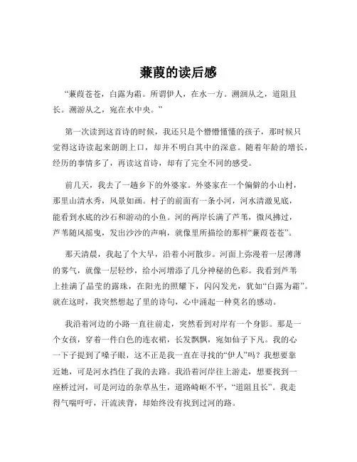 蒹葭的读后感