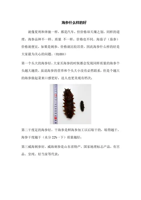 海参什么样的好