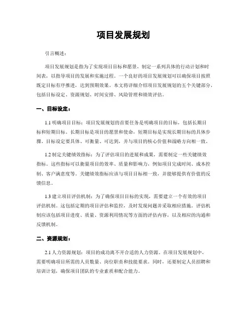 项目发展规划