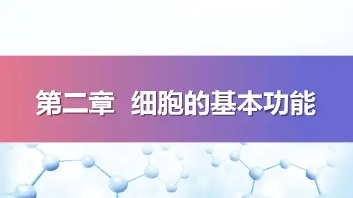 细胞的基本功能—肌细胞的收缩功能(生理学课件)