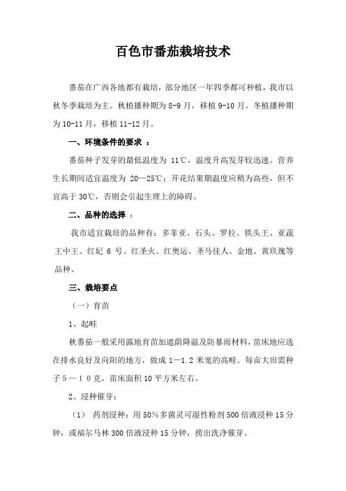 百色市番茄栽培技术