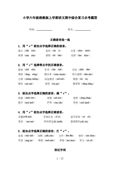 小学六年级湘教版上学期语文期中综合复习必考题型