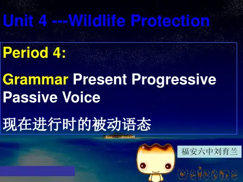 现在进行时的被动语态 ppt