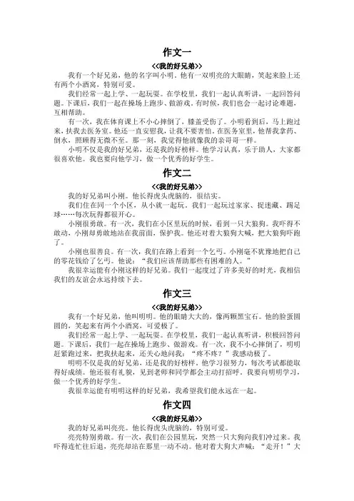 我的好兄弟作文300字三年级