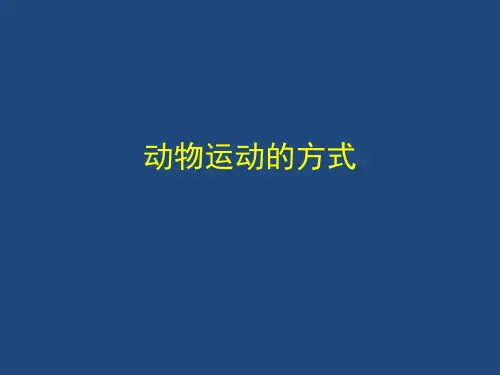 动物运动的方式