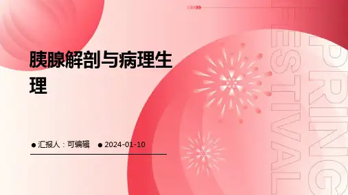胰腺解剖与病理生理