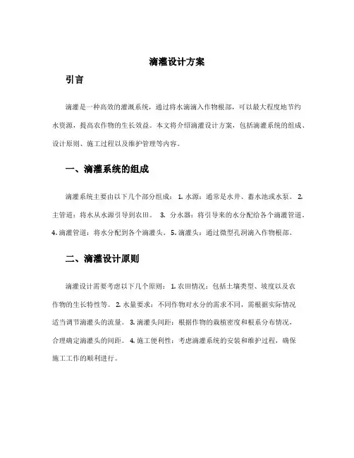 滴灌设计方案