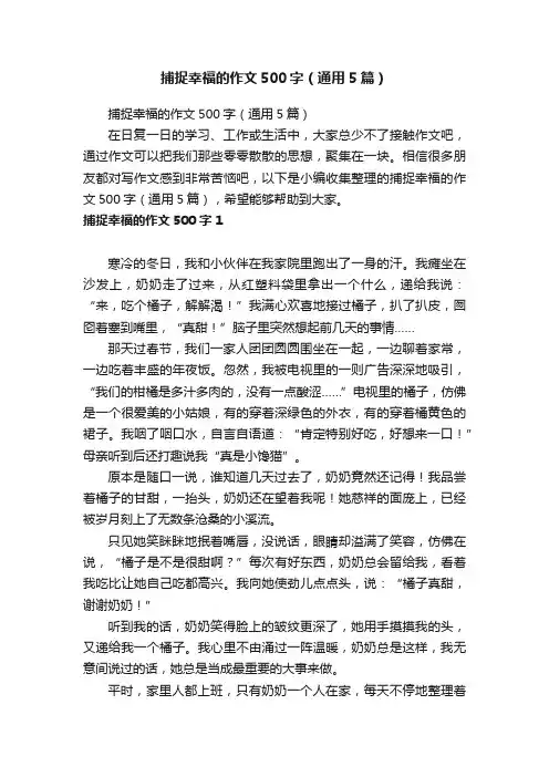 捕捉幸福的作文500字（通用5篇）