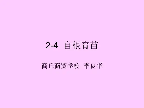 2-4  自根育苗