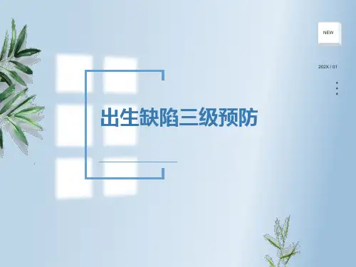 出生缺陷三级预防 