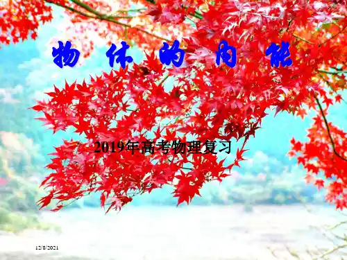 高考物理二轮复习热学专题物体的内能课件