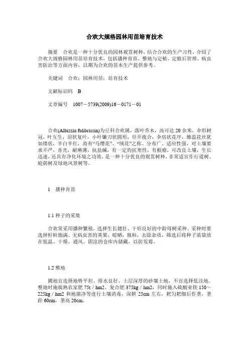 合欢大规格园林用苗培育技术