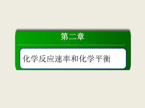 2-1化学反应速率和化学平衡PPT 93张