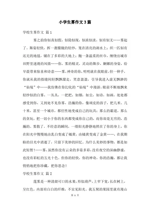 小学生雾作文3篇