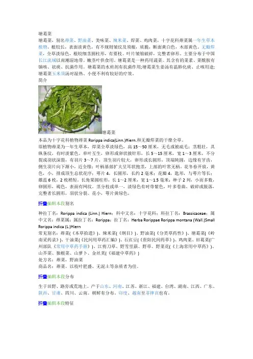 塘葛菜介绍