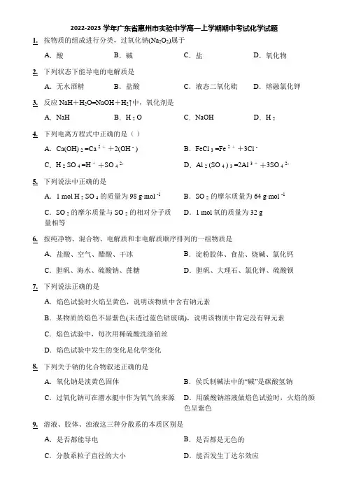 2022-2023学年广东省惠州市实验中学高一上学期期中考试化学试题