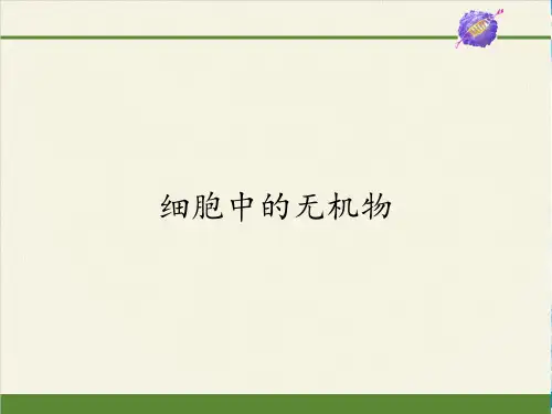 高中生物人教版(2019)必修1 分子与细胞  2.2 细胞中的无机物(共29张PPT)(最新版推荐下载)
