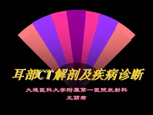 耳部CT解剖及疾病诊断
