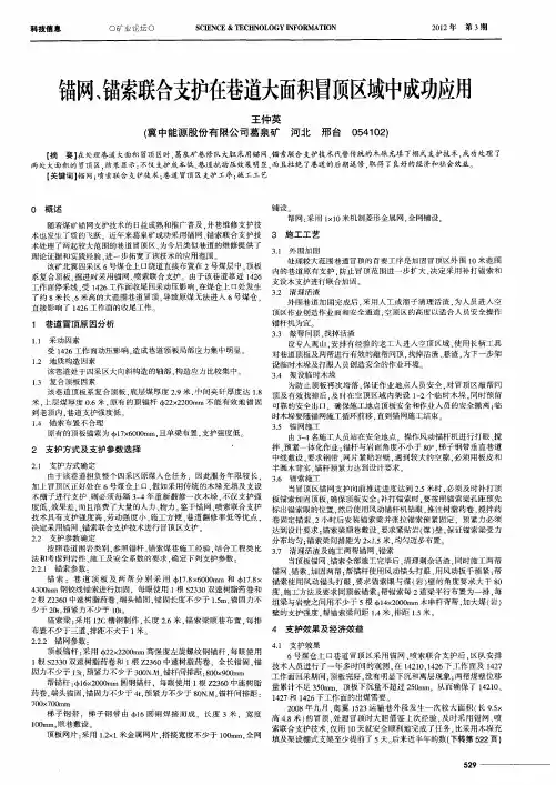 锚网、锚索联合支护在巷道大面积冒顶区域中成功应用